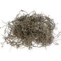 Dschungelmoos natur 500g