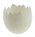 Eierbecher weiß Ø 8cm 12St