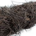 Mühlenbeckia Rebenmaterial ca.1 kg natur