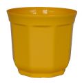Übertopf Tino 11cm gelb (10St.)