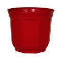 Übertopf Tino 13cm rot (10St.)