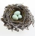 Vogelnest mit Eiern 15cm