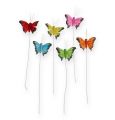 Deko-Schmetterling am Draht Farbig sort. 5cm 24St.