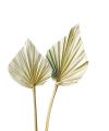 Palmspear mini natur 100St.