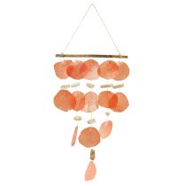 Kategorie Muschel Dekoration