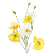 Kategorie Gartenblume & Wiesenblume