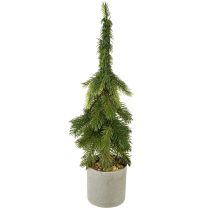 Kategorie Weihnachtsbaum künstlich