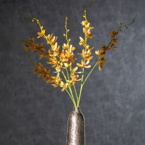 Artikel Künstliche Cymbidium Orchidee 95 cm Gelb-Grün-Bordeaux 2 Stück