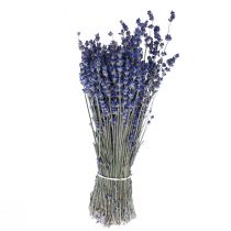 Artikel Getrockneter Lavendel Deko Trockenblumen 25cm 5 Bund 350g