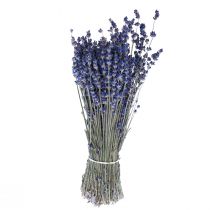 Artikel Getrockneter Lavendel Deko Blumen 25cm 350g 5er Set