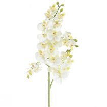 Phalaenopsis Künstliche Orchideen Kunstblumen Weiß 70cm