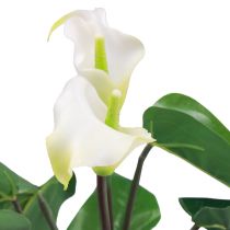 Artikel Calla Lilie Kalla Kunstblumen Weiß Exotische Blumen 34cm