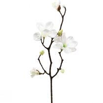 Kunstblume Magnolienzweig Magnolie künstlich Weiß 58cm