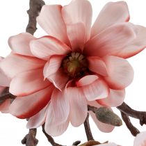 Artikel Magnolienzweig Magnolie künstlich Lachs 58cm