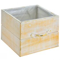 Artikel Pflanzkasten Holz Orange-Weiss mit Griff 12/15 cm 2er-Set für Innenbereich