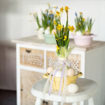 Artikel Metallschale Deko Schale Pastell Farbig Ø17cm H8cm 4St