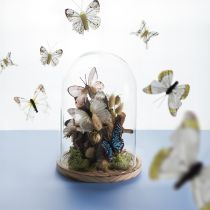 Artikel Glasglocke auf Holztablett Glassturz Klar Natur Ø17cm H24cm