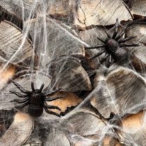 Artikel Schwarze Kunststoff-Spinne und Fledermaus Figuren 10cm, 14cm – 3er Set für Halloween