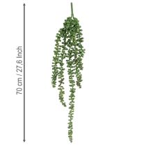 Artikel Künstliche Sukkulenten-Girlande Grün 80 cm Innenbereich