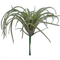 Tillandsia Sukkulente künstliche Grünpflanzen 13cm