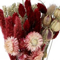 Artikel Trockenblumenstrauß Strohblumen Phalaris Rot 30cm