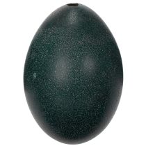 Artikel Dekoratives Emu-Ei aus Naturmaterial, 13 cm Höhe, 9 cm Durchmesser, tiefgrün, für Oster- und Wohnraumdekoration