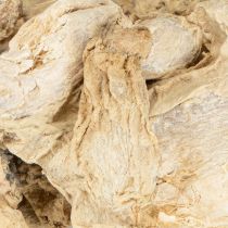Artikel Getrockneter Ingwer für Dekoration, Naturmaterial, 500g, ca. 3–6cm, naturfarben