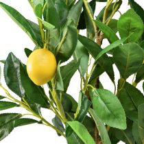 Artikel Kunstpflanzen Zitronenbaum Künstliche Topfpflanze 90cm