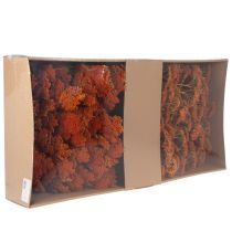 Artikel Achillea Orange Trockenblumen Schafgarbe 45-60 cm 1 kg