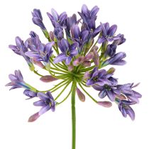 Artikel Agapanthus Schmucklilie Kunstblumen Lila L75cm 2St