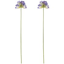 Artikel Agapanthus Schmucklilie Kunstblumen Lila L75cm 2St