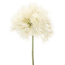 Artikel Allium Kunstblume aus Polyester und Kunststoff 68 cm Weiss Innenbereich