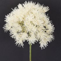 Artikel Allium Kunstblume aus Polyester und Kunststoff 68 cm Weiss Innenbereich