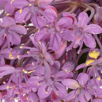 Artikel Künstliche Allium Blume aus Polyester, 90 cm, Lila