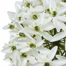 Artikel Deko-Blume Allium, künstlicher Kugellauch, weiss, Ø20cm, L72cm