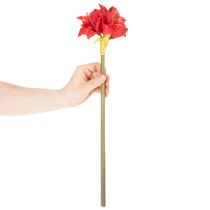 Artikel Künstliche Amaryllis Blume Rot mit Stiel 50 cm Weihnachtsdeko