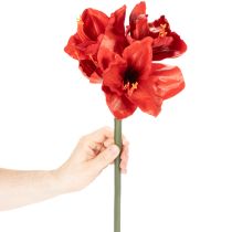 Artikel Künstliche Amaryllis in Rot mit langem Stiel, 77 cm
