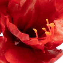 Artikel Künstliche Amaryllis in Rot mit langem Stiel, 77 cm