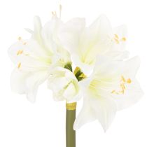 Artikel Künstliche Amaryllis Weiss mit Stiel 50cm für Advent und Weihnachten