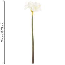 Artikel Künstliche Amaryllis Weiss mit Stiel 50cm für Advent und Weihnachten