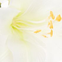 Artikel Künstliche Amaryllis Weiss mit Stiel 50cm für Advent und Weihnachten