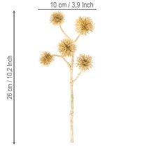 Artikel Künstlicher Zweig Amberfrucht Gold 26 cm Bund mit 6 Stück