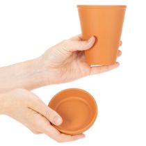 Artikel Aquasafe Wasserspeicher mit Insektentränke für Garten und Terrasse 12 cm 3er-Set