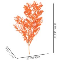 Artikel Trockenblumen Asparagus-Zweig gefärbt orange 65cm 80g