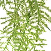 Artikel Künstliche Hängepflanze Asparagus 75 cm Grün aus Kunststoff für Wohnraumdekoration