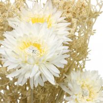 Artikel Künstlicher Blumenstrauss mit Astern und Schleierkraut in Beige und Weiss, 43 cm