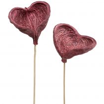 Artikel Badam am Stiel Rot, weißgewaschen 25 St