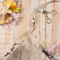 Artikel Geschenkband aus Polyester mit Dackelmotiv 15mm x 18m in Creme und Braun für Dekoration und Basteln