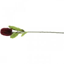 Artikel Kunstblume Banksia Rot Burgund Künstliche Exoten 64cm