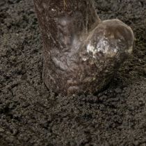 Artikel Künstlicher Baum mit filigranen Blättern 120 cm Grün-Braun Kunststoff
